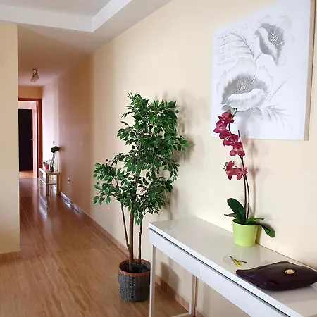 City's Apartment Tazacorte